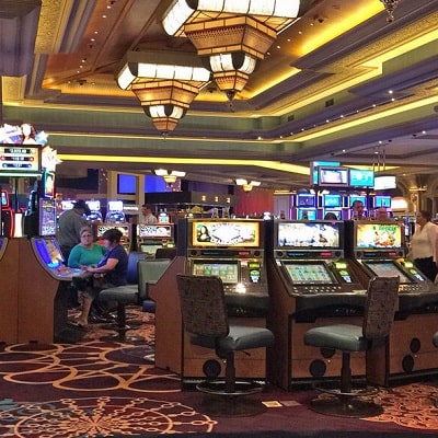Vivemon Casino Spieler Bedingungen und Konditionen