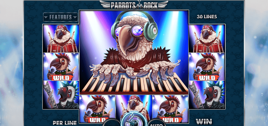 Motley Parrots Rock Slot 